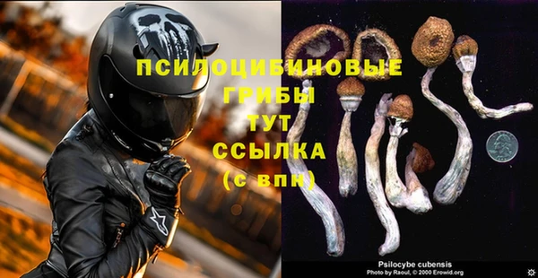спиды Медвежьегорск