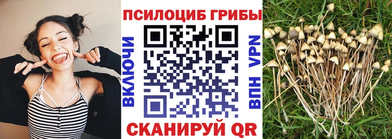 купить наркотик  Партизанск  Псилоцибиновые грибы мухоморы 